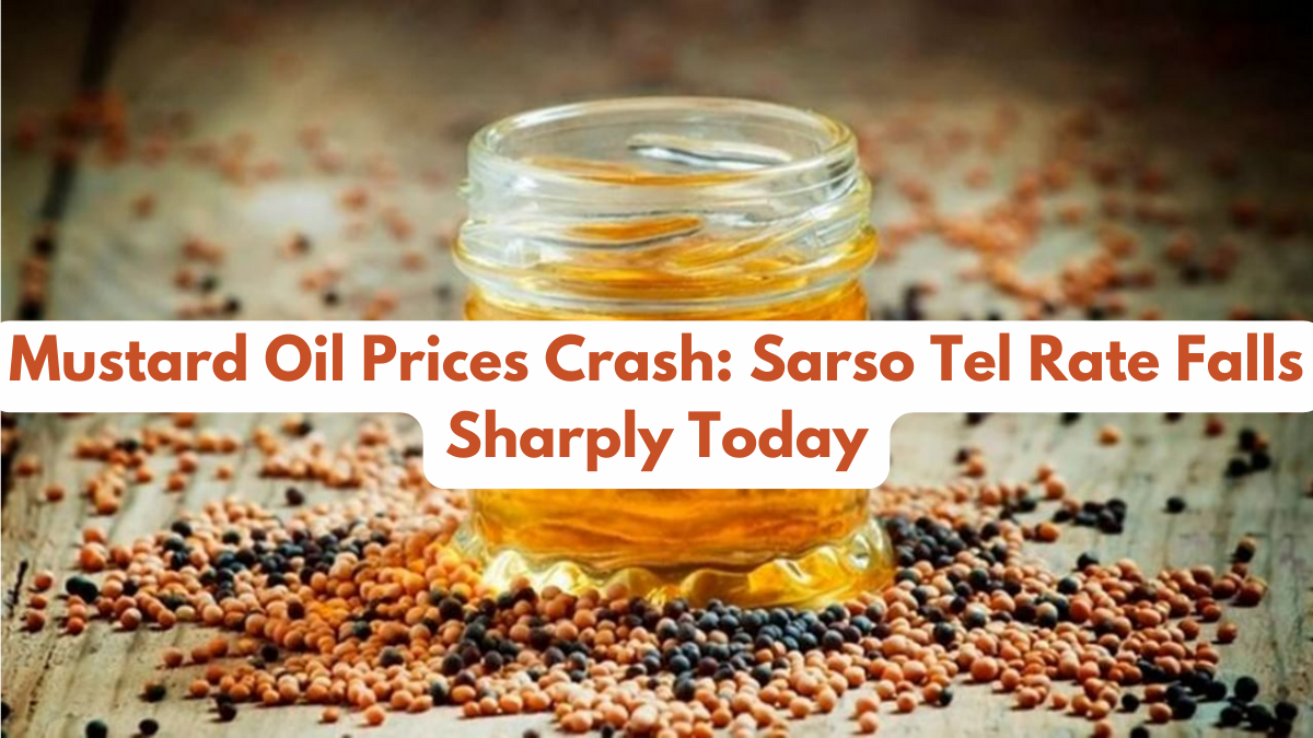 Mustard Oil Prices Crash: Sarso Tel Rate Falls Sharply Today