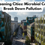 Self-Cleaning Cities: Microbial Coatings Break Down Pollution