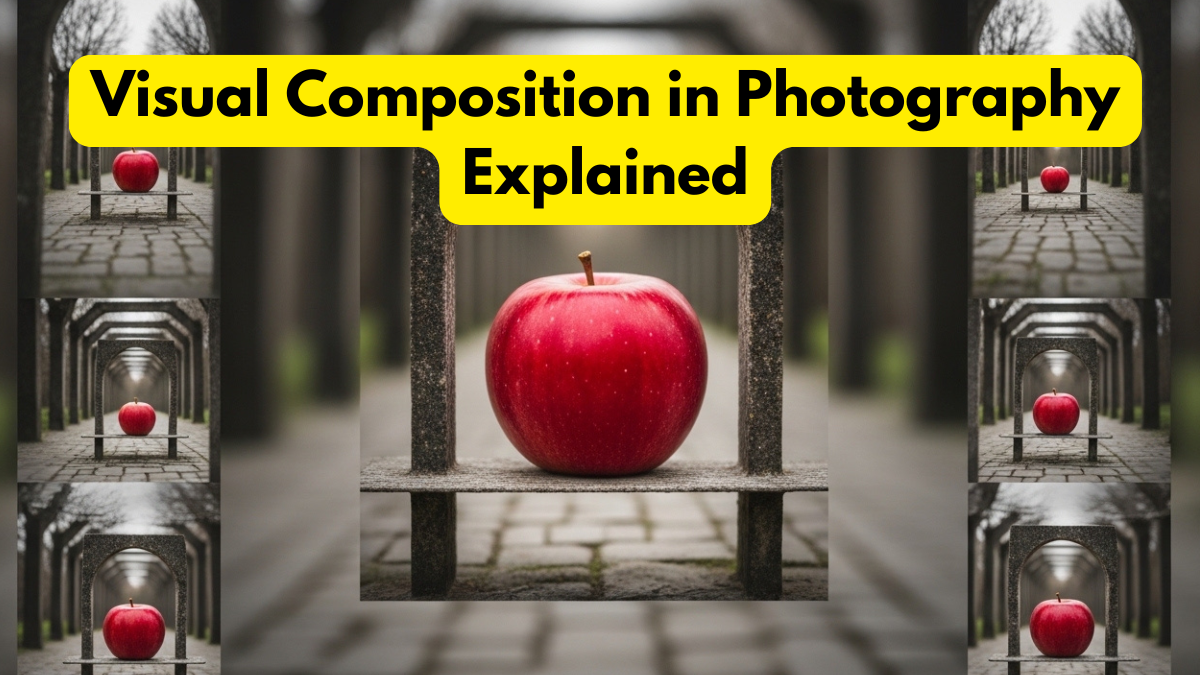 Visual Composition in Photography Explained